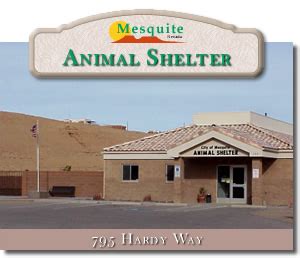 mesquite animal shelter|we care for animals mesquite nv.